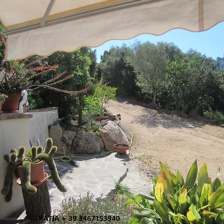 Monolocale San Pantaleo Apartment Екстериор снимка